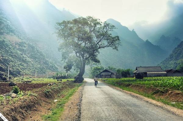 Đường đi lên Đồng Văn. Ảnh: Tung Hoang