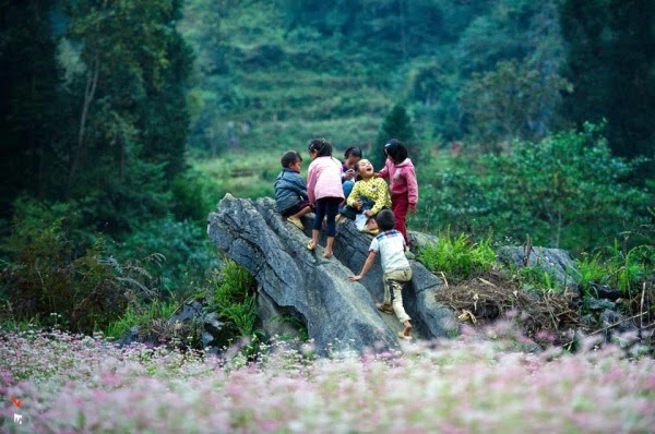 du lịch Hà Giang