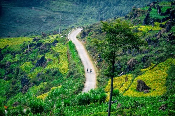 du lịch Hà Giang