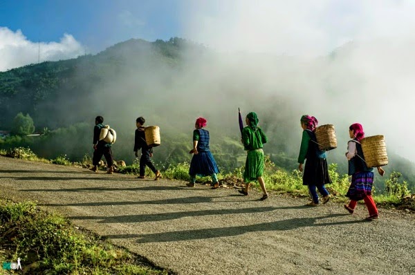 du lịch Hà Giang