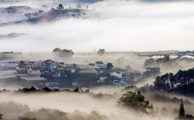 Đà Lạt những ngày mùa đông đầy ảo mộng