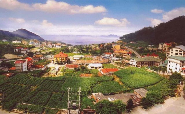 Hương Sắc Tam Đảo Tháng 3