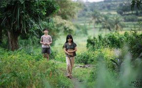 Hãy giữ  Phú Yên yên bình trong ” Tôi thấy hoa vàng trên cỏ xanh “