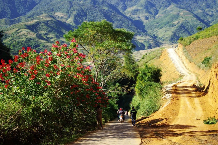 Yên Bái là một tỉnh nằm ở vùng Tây Bắc tiếp giáp Đông Bắc. Khoảng vài năm trở lại đây huyện Mù Cang Chải trở thành điểm đến thu hút rất nhiều du khách vào mùa vàng tháng 9. Tuy đã qua thời điểm đẹp nhất, đường đi Lìm Mông, Lìm Thái ở xã Cao Pạ, huyện Mù Cang Chải vẫn đẹp rực rỡ nhờ sắc đỏ của hoa trạng nguyên.