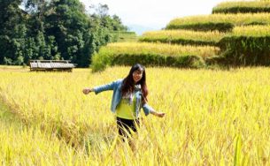 Hà Giang diễn ra tuần văn hóa du lịch ruộng bậc thang Hoàng Su Phì năm 2015