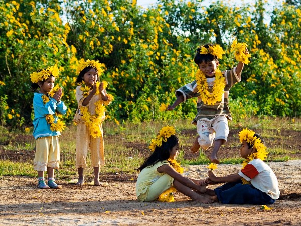 Đã có những bông hoa cúc quỳ đầu mùa khoe sắc.