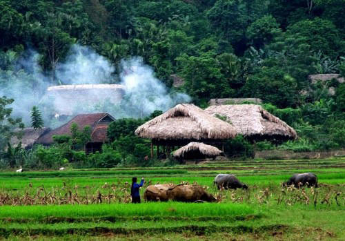 ho-noong-tien-canh-xu-ha-giang-ivivu-11