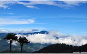 Kinh nghiệm du lịch phượt Y Tý – Lào Cai