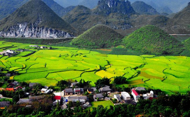 Kinh nghiệm du lịch Quản Bạ – Hà Giang