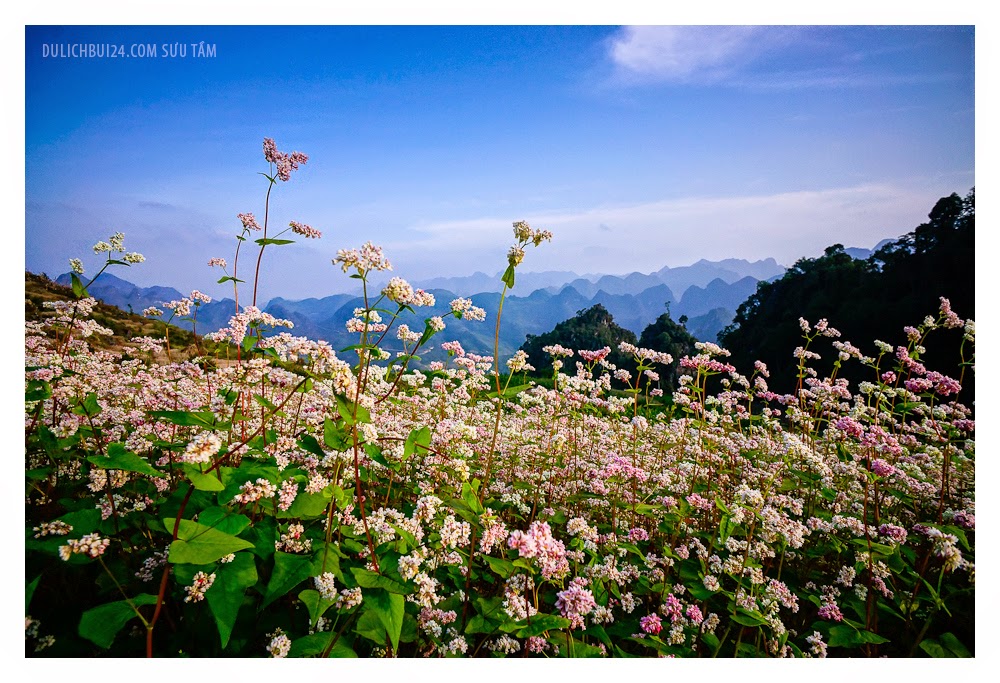 Phượt Hà Giang - Kinh nghiệm đi phượt Hà Giang 2014