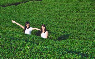 Đi đâu tháng 6 ở miền Bắc?