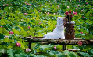 Mẹo chọn trang phục chụp ảnh sen ai cũng nên biết