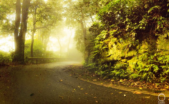 Kinh nghiệm du lịch tham quan Vườn quốc gia Ba Vì