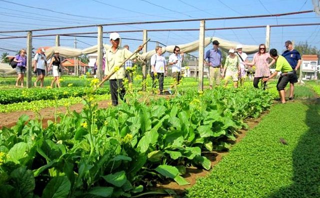 Hội An: Thí điểm tour du lịch sinh thái lấy cộng đồng làm chủ thể