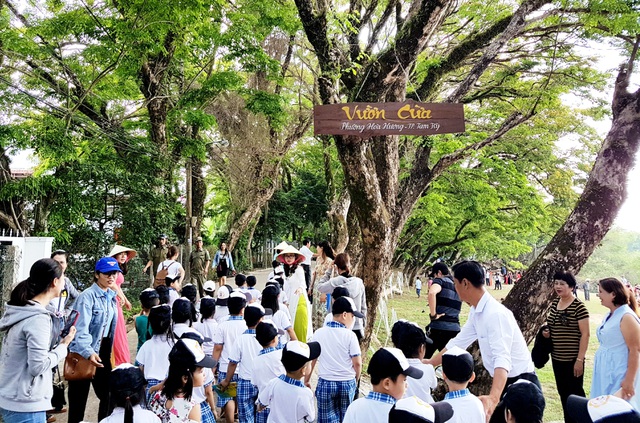 Mùa hoa sưa Tam Kỳ Mùa hoa sưa Tam Kỳ