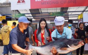 Cá tra sông 30kg được chế biến 30 món ở Hội chợ du lịch quốc tế Cần Thơ