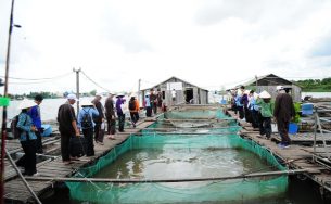 4 tỉnh Bắc miền Trung hợp tác phát triển du lịch với Vùng ĐBSCL