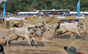 Người dân An Giang bắt tay làm du lịch trách nhiệm