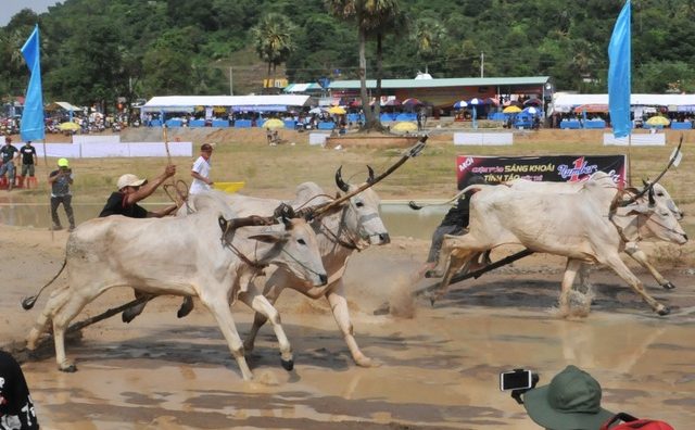 Người dân An Giang bắt tay làm du lịch trách nhiệm