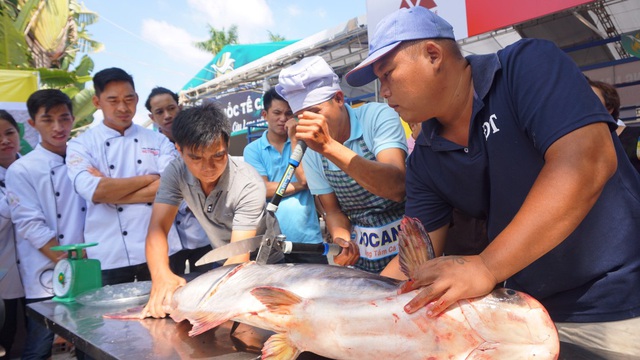 Cá tra sông 30kg được chế biến 30 món ở Hội chợ du lịch quốc tế Cần Thơ - 2