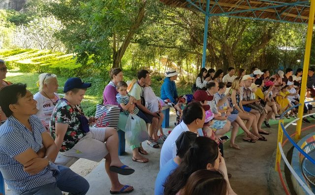 Du khách vỗ tay không ngớt khi chứng kiến… gấu khéo léo chạy xe máy