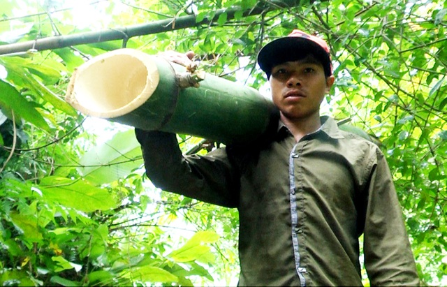 Khám phá vùng sâm Ngọc Linh, Quảng Nam