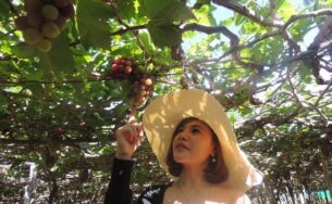 Trải nghiệm Lễ hội nho và vang ở vùng đất đầy nắng và gió