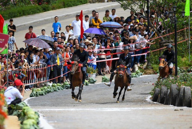 Hàng ngàn du khách đổ về Sa Pa tham dự lễ hội đua ngựa Vó ngựa trên mây - 1 Hàng ngàn du khách đổ về Sa Pa tham dự lễ hội đua ngựa Vó ngựa trên mây - 1