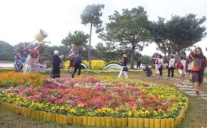 Festival hoa Đà Lạt lần thứ 8 sẽ có nhiều điểm nhấn đặc sắc