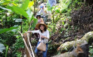 Mở tour du lịch miễn phí đến vùng sâm Ngọc Linh