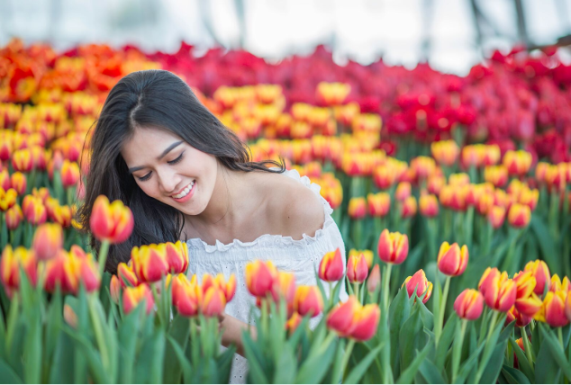 Festive Wonderland – Lễ hội thần tiên tại xứ sở Vinpearl Land - 3 Du khách mê mẩn lạc bước trong 100.000 đóa hoa tuylip rực rỡ