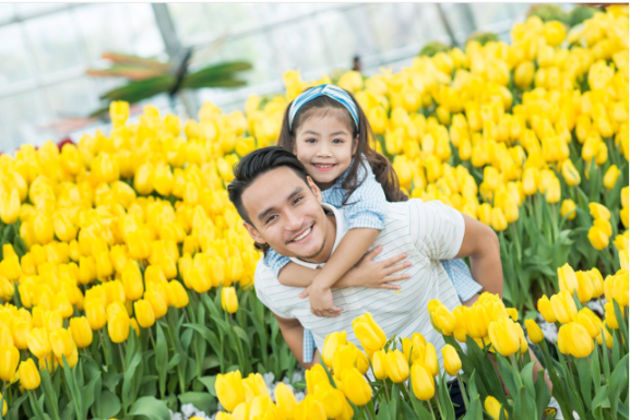 Festive Wonderland – Lễ hội thần tiên tại xứ sở Vinpearl Land - 2 Festive Wonderland – Lễ hội thần tiên tại xứ sở Vinpearl Land - 2