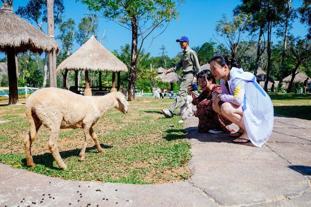 Vinpearl Safari Phú Quốc – Trải nghiệm “Tết mới”,  gắn kết thiên nhiên  - 12