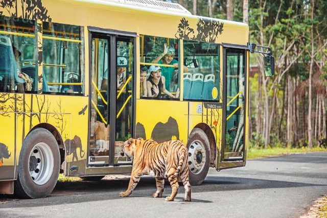 Vinpearl Safari Phú Quốc – Trải nghiệm “Tết mới”,  gắn kết thiên nhiên  - 14