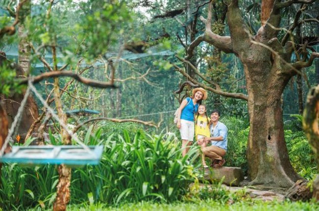 Vinpearl Safari Phú Quốc – Trải nghiệm “Tết mới”,  gắn kết thiên nhiên  - 17