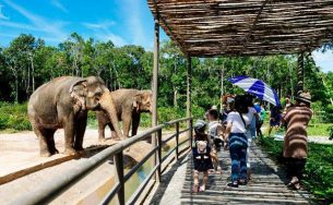 Vinpearl Safari Phú Quốc – Trải nghiệm “Tết mới”,  gắn kết thiên nhiên