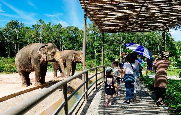 Vinpearl Safari Phú Quốc – Trải nghiệm “Tết mới”,  gắn kết thiên nhiên