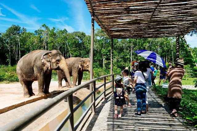 Vinpearl Safari Phú Quốc – Trải nghiệm “Tết mới”,  gắn kết thiên nhiên  - 19