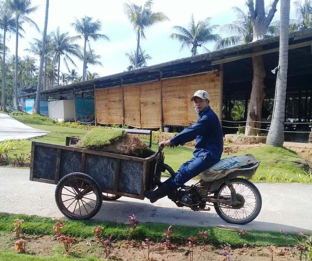  Anh Đặng Văn Bình được người quen giới thiệu vào làm cho bộ phận cây xanh tại Sun World Hon Thom Nature Park 