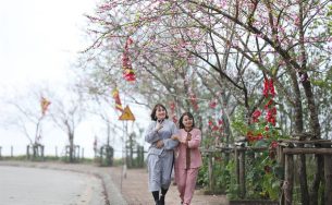 Ngẩn ngơ chẳng muốn về trước vườn đào lớn nhất Sa Pa nơi chân núi Fansipan