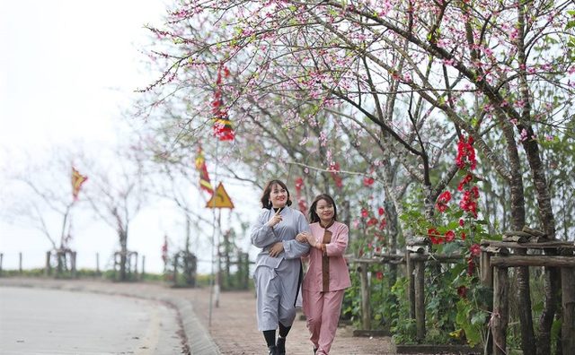 Ngẩn ngơ chẳng muốn về trước vườn đào lớn nhất Sa Pa nơi chân núi Fansipan