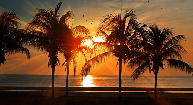 Các giá trị cốt lõi làm nên thành công của kỳ nghỉ gia đình Resorts International Vietnam - 1 Các giá trị cốt lõi làm nên thành công của kỳ nghỉ gia đình Resorts International Vietnam - 1
