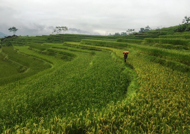 Mơi đây được mệnh danh là “thiên đường giữa đại ngàn” của Thanh Hóa.