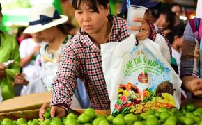 Thay túi nhựa bằng túi cói phục vụ du khách