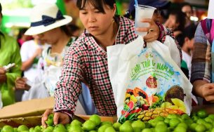 Thay túi nhựa bằng túi cói phục vụ du khách