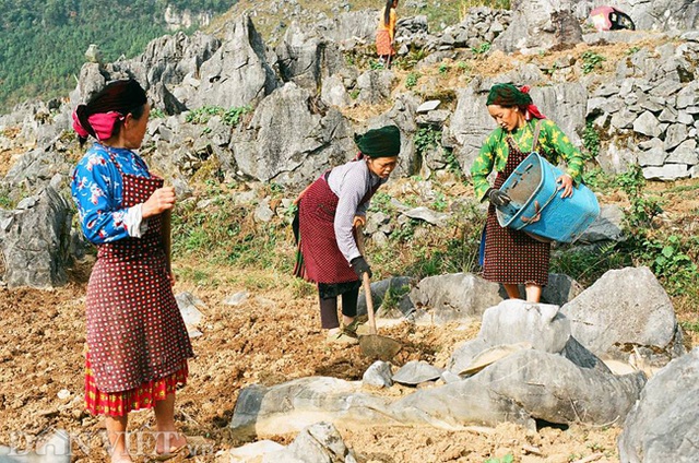 Ngắm hoa đào nở muộn tuyệt đẹp trên cao nguyên đá Đồng Văn - 10