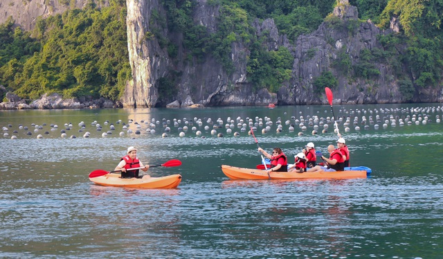 Không chỉ nô đùa trên cát, gia đình Nguyên Khang còn chèo thuyền Kayak.