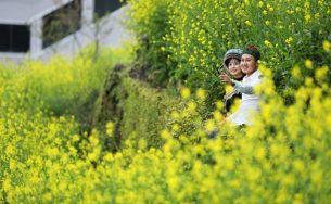 Gom cả mùa xuân để tặng nàng nhân ngày 8/3 – Bạn có làm được không?