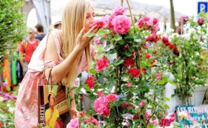 Thăm “quê nhà” bộ phim “Sát nhân mùi hương”