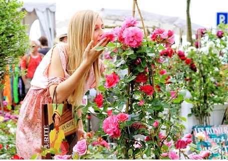 Ngoài Lavender, Rose Expo là lễ hội hoa hồng quan trọng trong năm tại vùng Provence